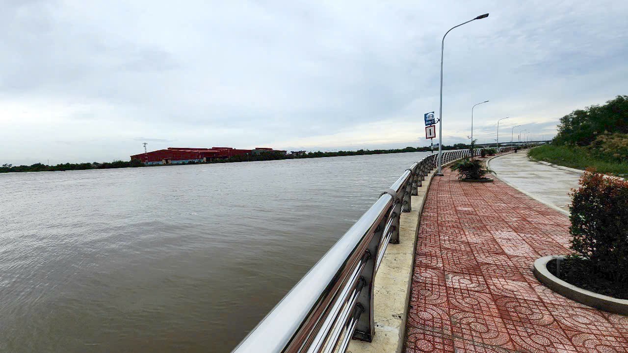 Đất lúa Óc Đảo Long Hựu 1000m2 giá bao đầu tư 350tr 2