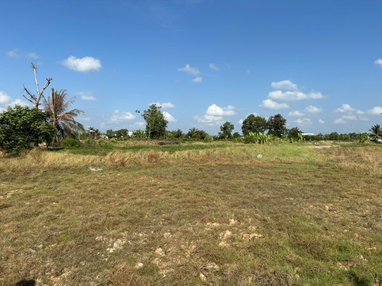Đất lúa Óc Đảo Long Hựu 1000m2 view sông vàm cỏ giá rẻ đầu tư 350tr 2