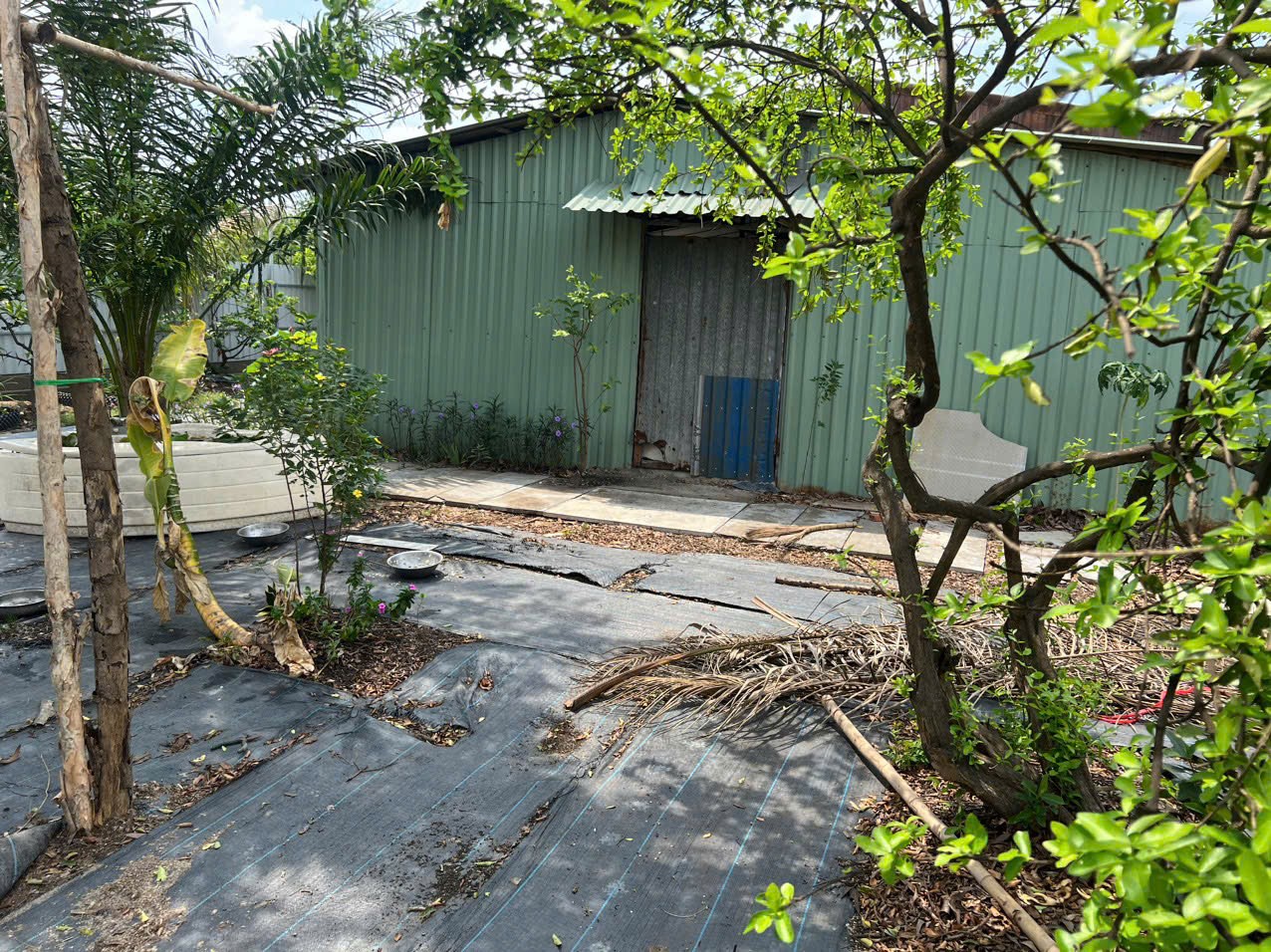 Bán đất vườn ngay KCN Lê Mnh Xuân, Bình Chánh 2