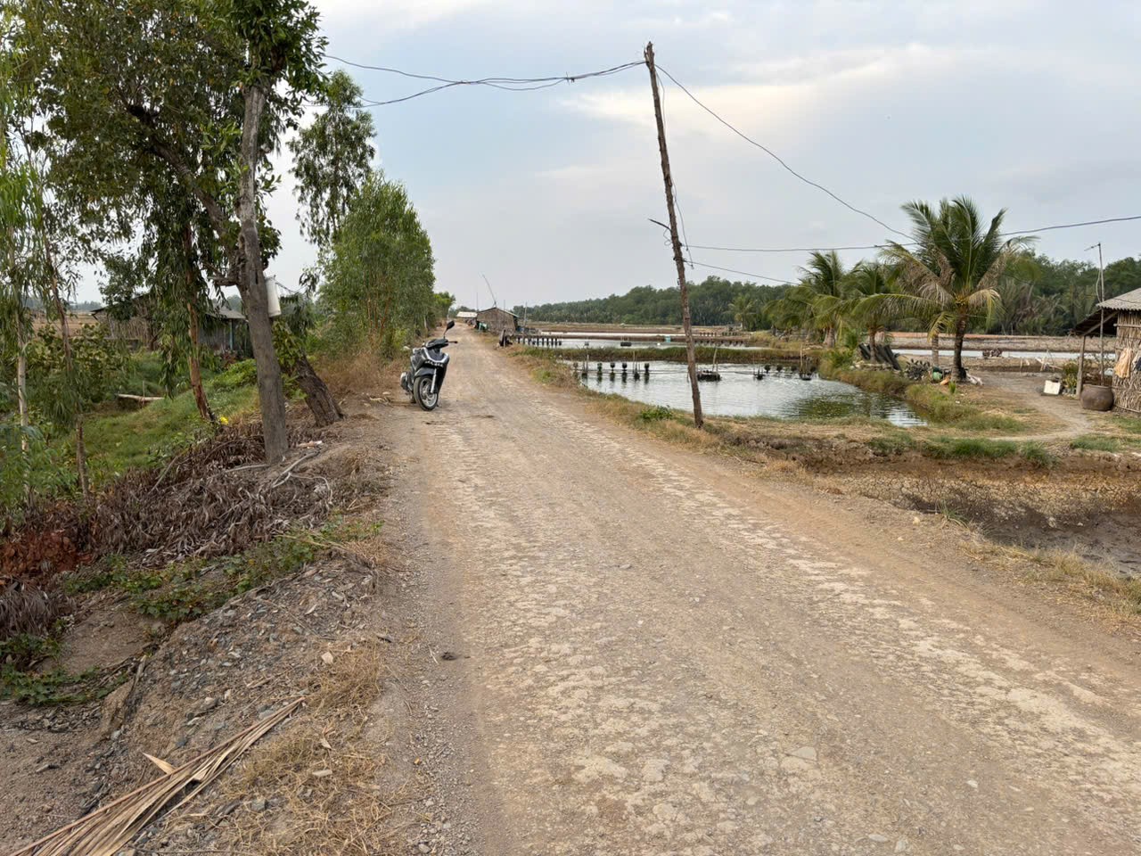 Đất lúa Óc Đảo Long Hựu 4354m2 mt kênh view sông Vàm Cỏ giá rẻ đầu tư 2