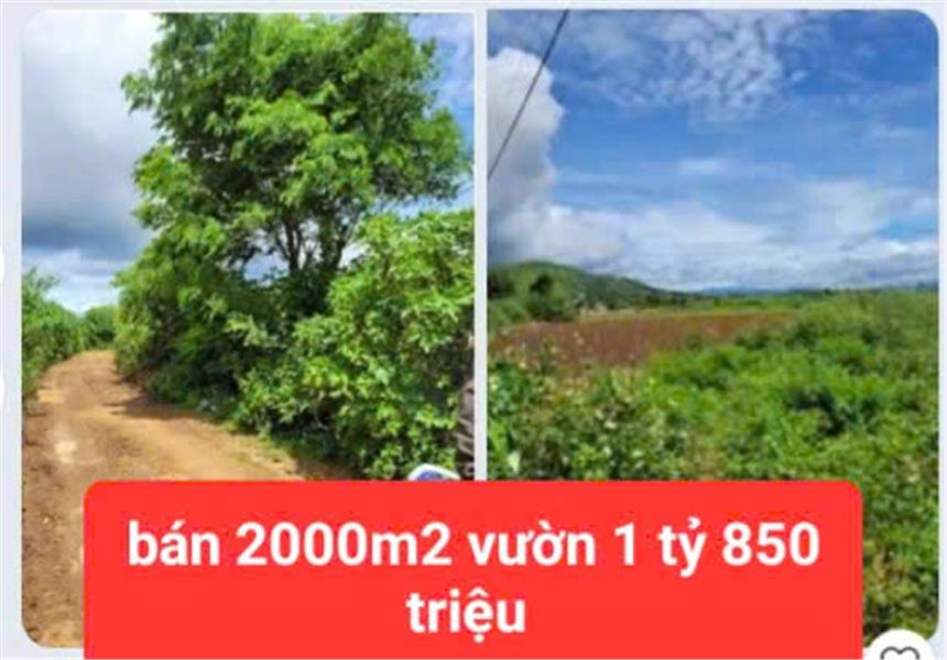 HẠ GIÁ TỪ 2.6 TỶ XUỐNG BÁN 1 tỷ 850 triệu - 2 sào đất vườn tổ 32 liên nghĩa-đức trọng -lâm đồng