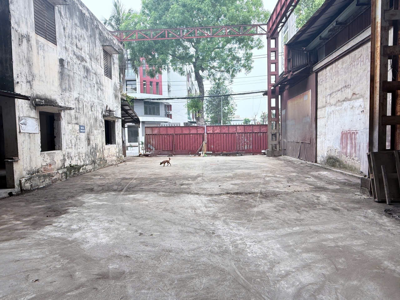 Cho thuê Kho - Nhà xưởng đường Đức Giang, Phường Đức Giang, Diện tích 3000m², Giá Thương lượng 7