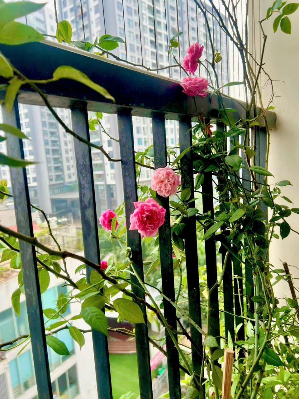 Bán gấp căn hộ dòng tiền đang vận hành Triều Khúc 61m, 9 tầng, mặt tiền 6.5m, 14.5 tỷ Hoàng Mai. 2