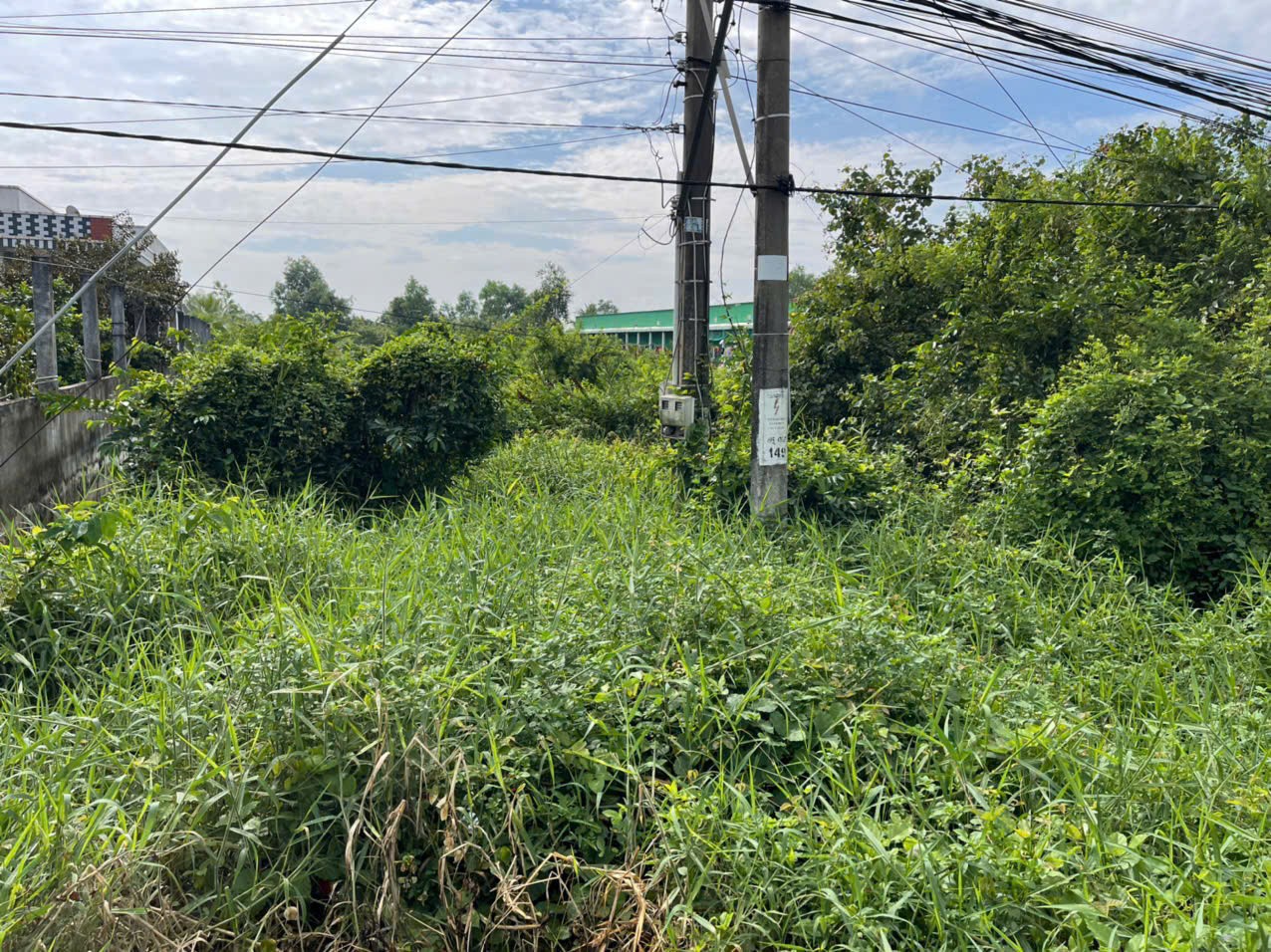 956m2 đất vườn mặt tiền tỉnh lộ 824, xã Lương Hòa, Bến Lức, Long An giá 7 tỷ 3