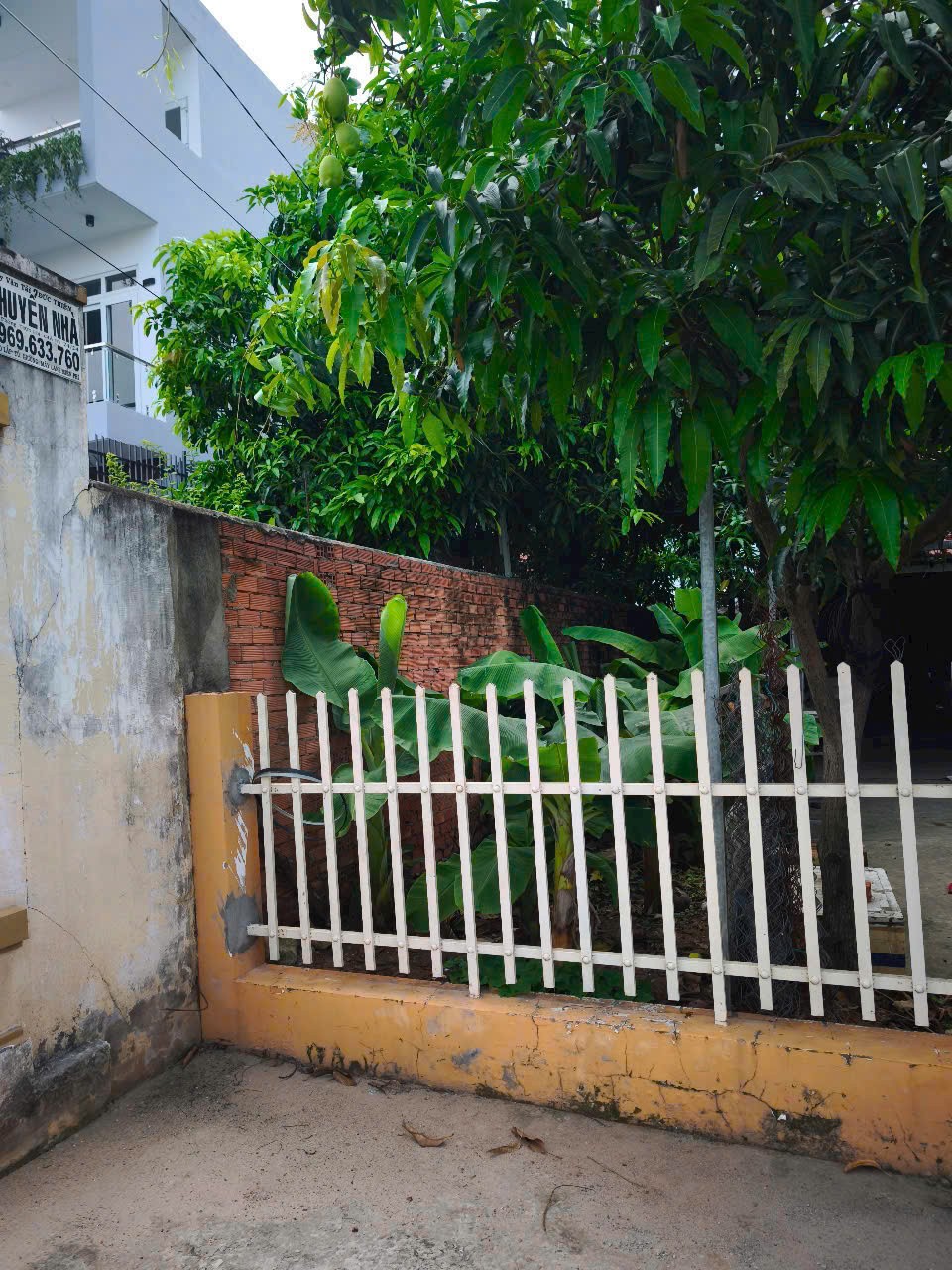 ĐẤT LỚN 1050m² THẠNH XUÂN 24, Q.12 – FULL THỔ, NỞ HẬU ĐẸP – CHỈ 32 TỶ! 3