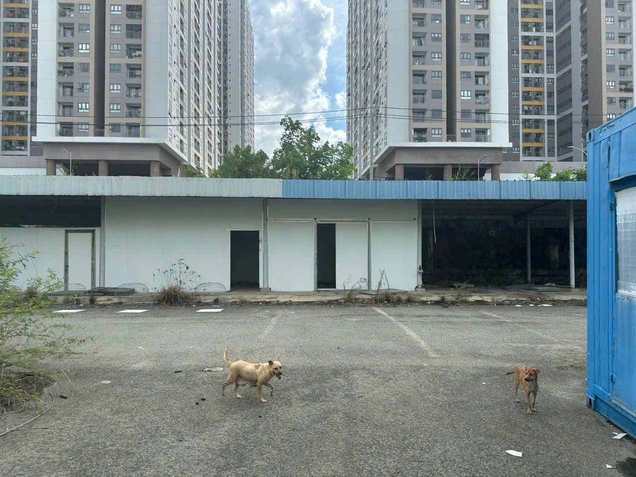 Cho thuê Kho - Nhà xưởng Phường Phú Thuận, Quận 7, Diện tích 57000m², Giá 50 Nghìn/m²/tháng 6