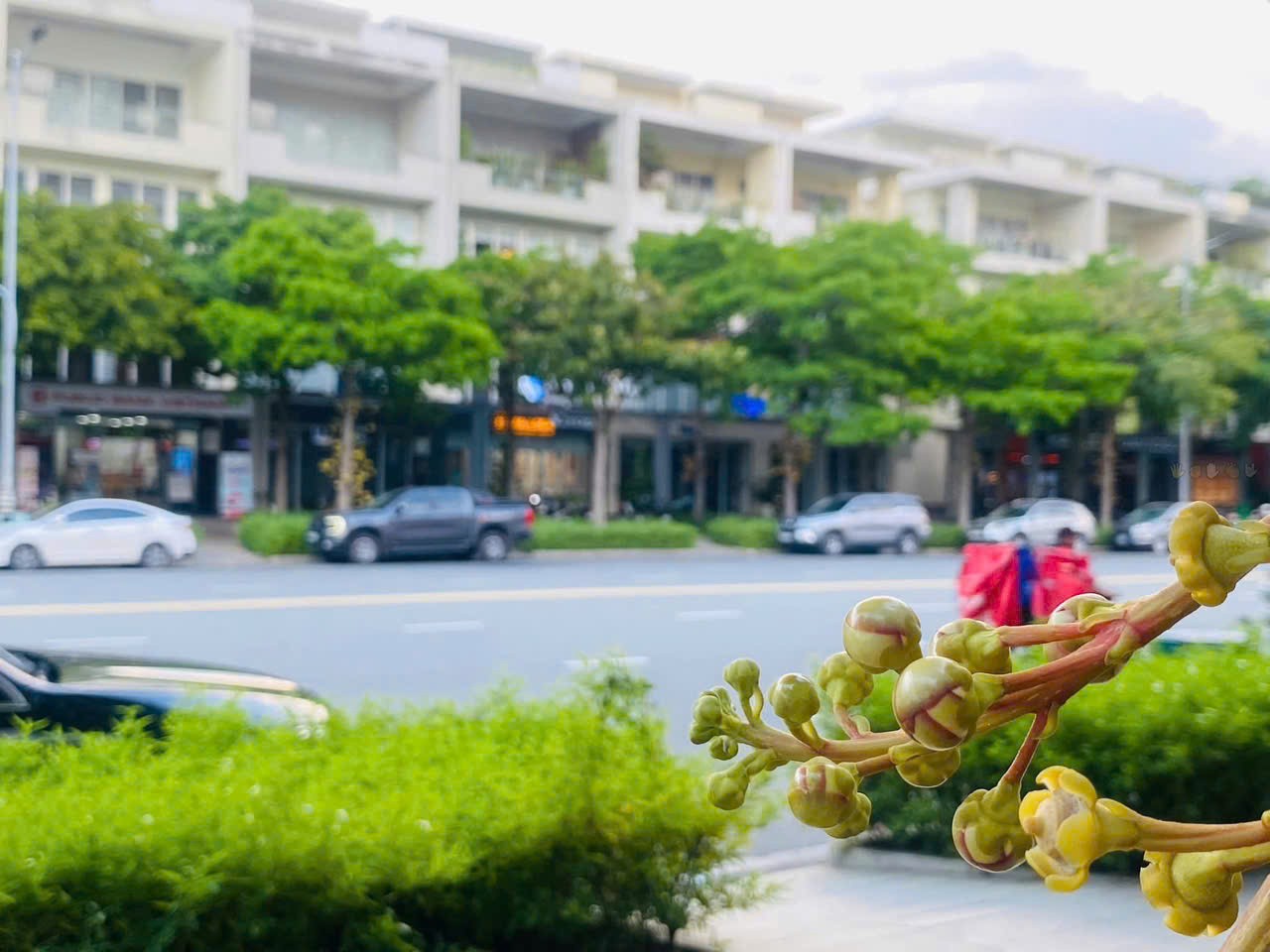 Cho thuê Nhà mặt tiền Phường An Lợi Đông, Quận 2, Diện tích 693m², Giá 200 Triệu/tháng