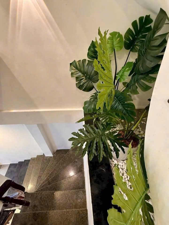 Cho thuê Nhà mặt tiền Phường Thảo Điền, Quận 2, Diện tích 68m², Giá 55 Triệu/tháng 7