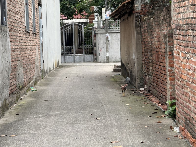 Cần bán 100m2 đất thôn Đại Bản, Gia Lâm. Cách hồ 20m, cách 100m ra đường Dương Đức Hiển (QL17) 3
