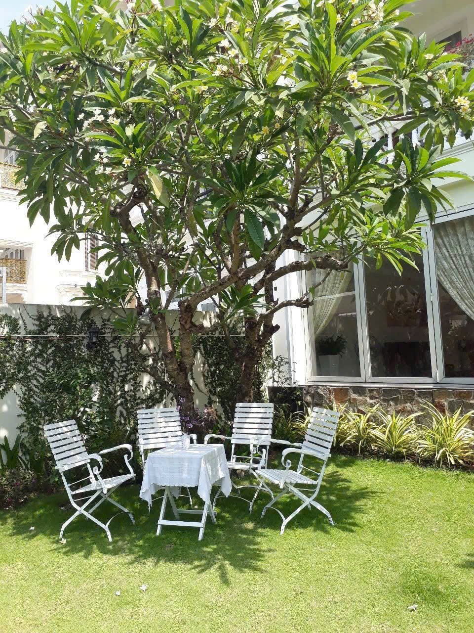 Cần bán Biệt thự Dĩ An, Bình Dương, Diện tích 240m², Giá 24.5 Tỷ 4