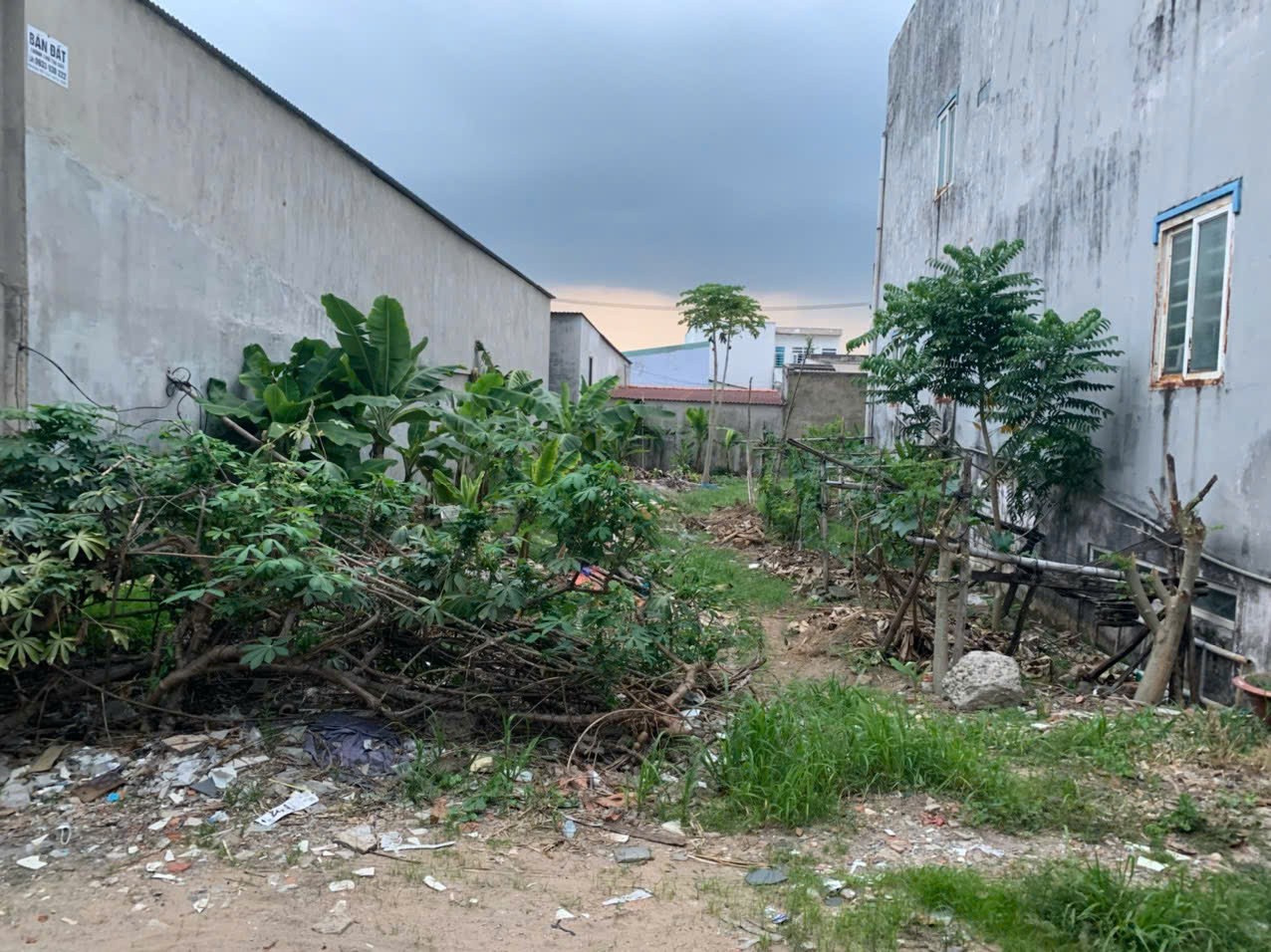 Cần bán Đất Quận 9, Hồ Chí Minh, Diện tích 278m², Giá 014.5 Tỷ 3