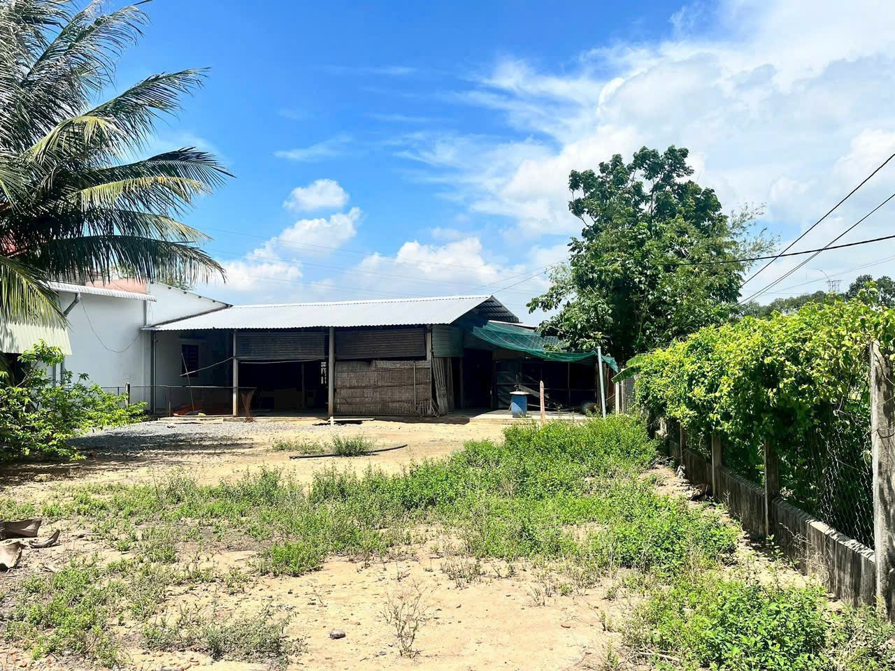 3 lô đất thổ xã Phước Thạnh, Củ Chi dt 99m2 giá 1,5 tỷ / lô 6