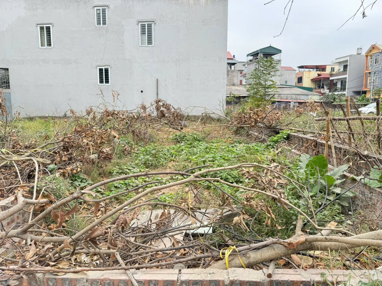 Bán Đất Vị Trí Vàng - Tổ Dân Phố 9, Thị Trấn Quang Minh, Mê Linh, Hà Nội 2
