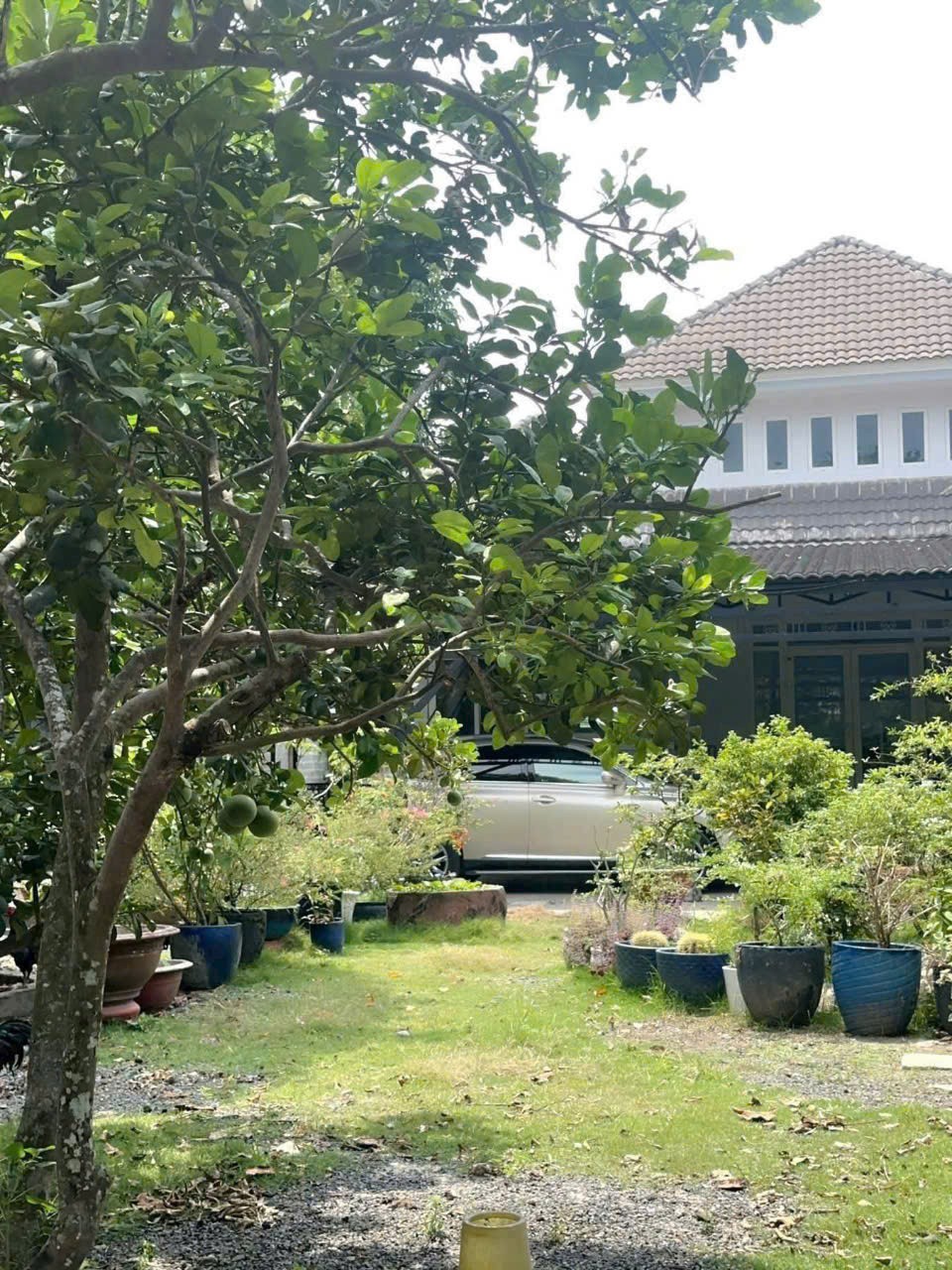 BÁN BIỆT THỰ VƯỜN + ĐẤT MẶT TIỀN NHỰA – TÂN THÔNG HỘI, CỦ CHI – NGANG KHỦNG 20M