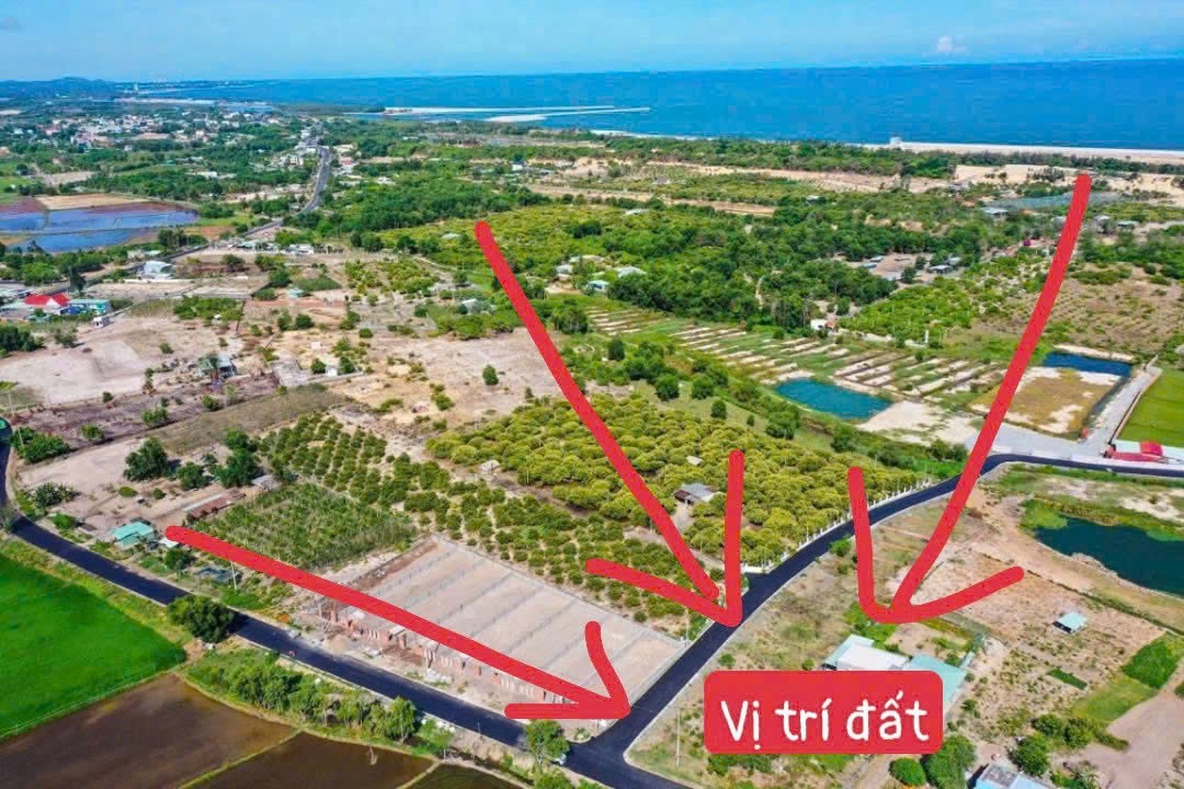 Cần bán Đất đường Tỉnh lộ 44, Xã Phước Hội, Diện tích 330m², Giá 950 Triệu