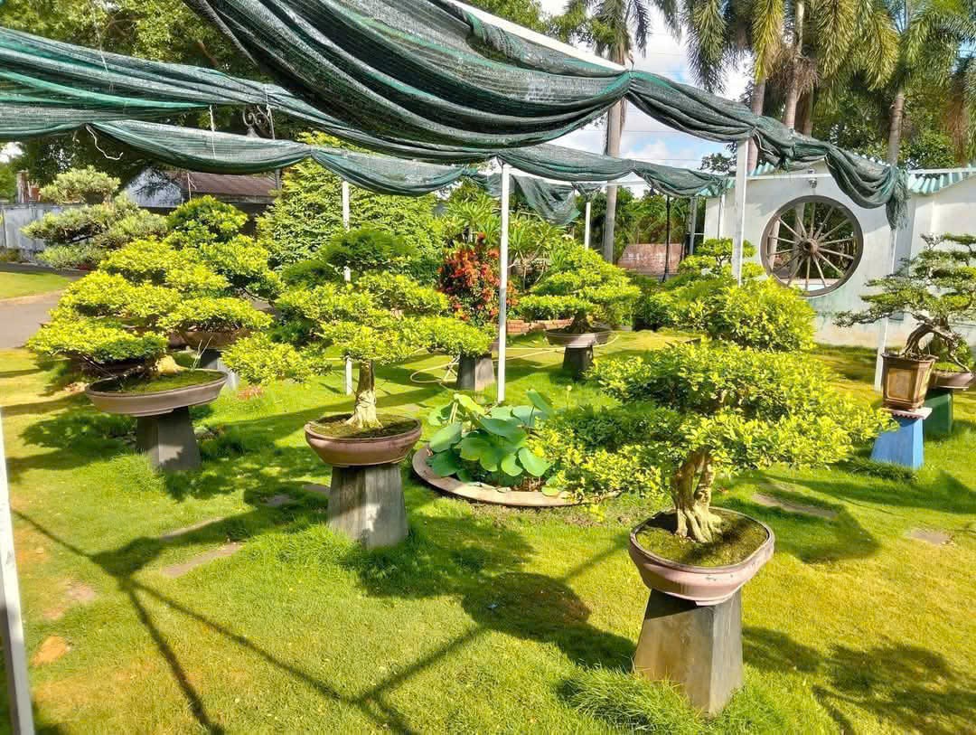 Siêu phẩm nhà vườn mặt tiền QL1A , xã Thạnh Đức, Bến Lức dt 15000m2 giá 75 tỷ 5