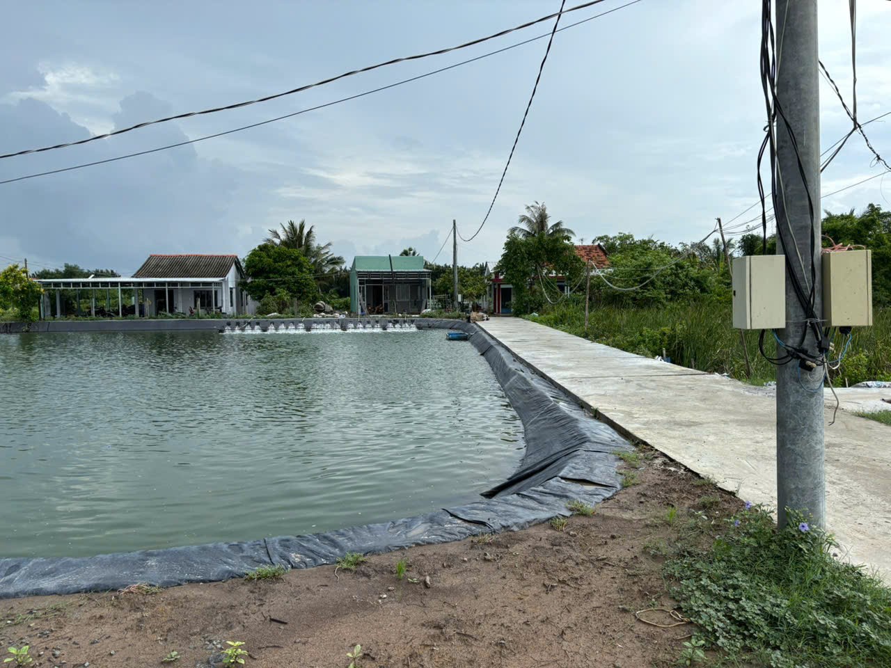 Đất thổ 609m2 View sông Vàm Cỏ xã Tân Chánh giá rẻ đầu tư 700tr 2