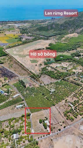Cần bán Đất đường Tỉnh lộ 44, Xã Lộc An, Diện tích 253.7m², Giá 1.7 Tỷ