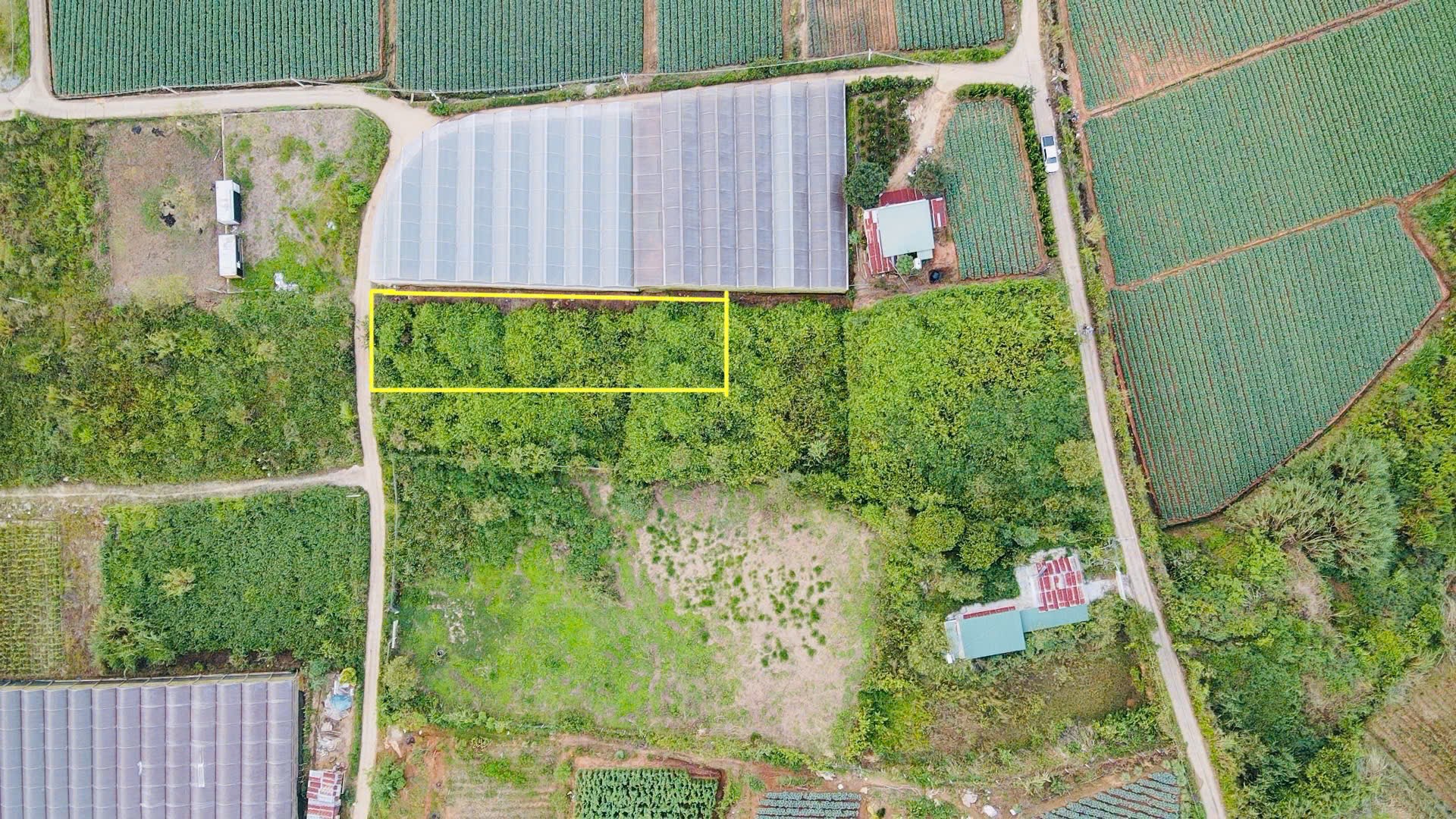 Đà Lạt còn sót lại 1 lô sổ riêng gần 700m2 - đường bê tông lớn - giá đầu 2 chấm