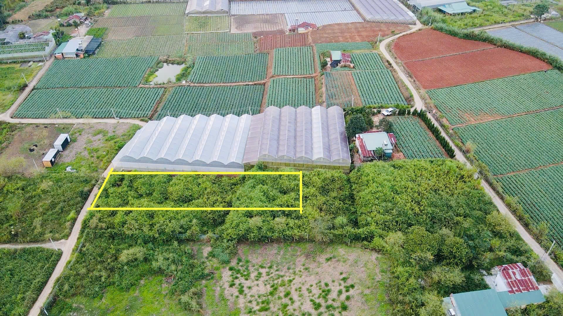 Đà Lạt còn sót lại 1 lô sổ riêng gần 700m2 - đường bê tông lớn - giá đầu 2 chấm 2
