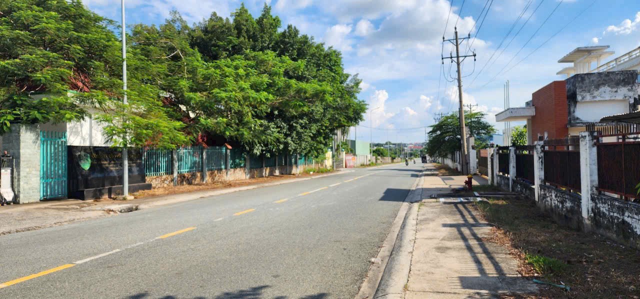 Cho thuê Kho - Nhà xưởng Thủ Dầu Một, Bình Dương, Diện tích 11000m², Giá 800 Triệu/tháng 3