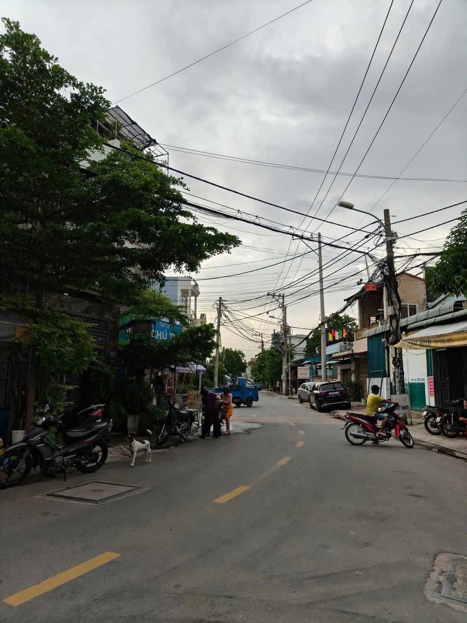 3 LÔ ĐẤT ĐẸP – MT TRẦN THỊ HÈ, P. HIỆP THÀNH, Q12 – GIÁ TỐT CHO NHÀ ĐẦU TƯ