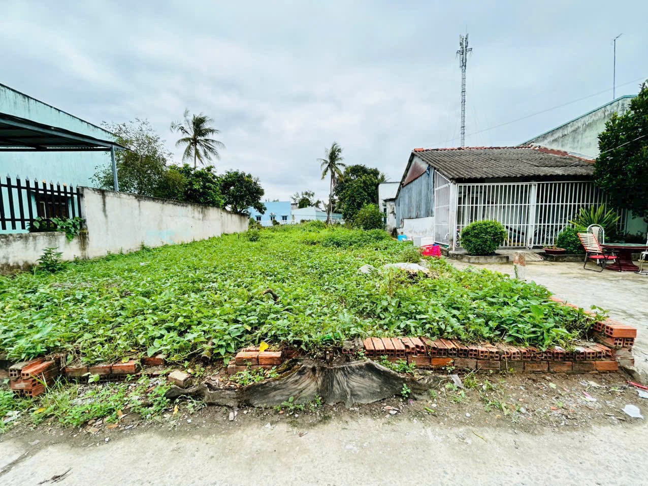 141m2 thổ cư hẻm trung tâm thị trấn Cần Giuộc giá 1,45 tỷ 3