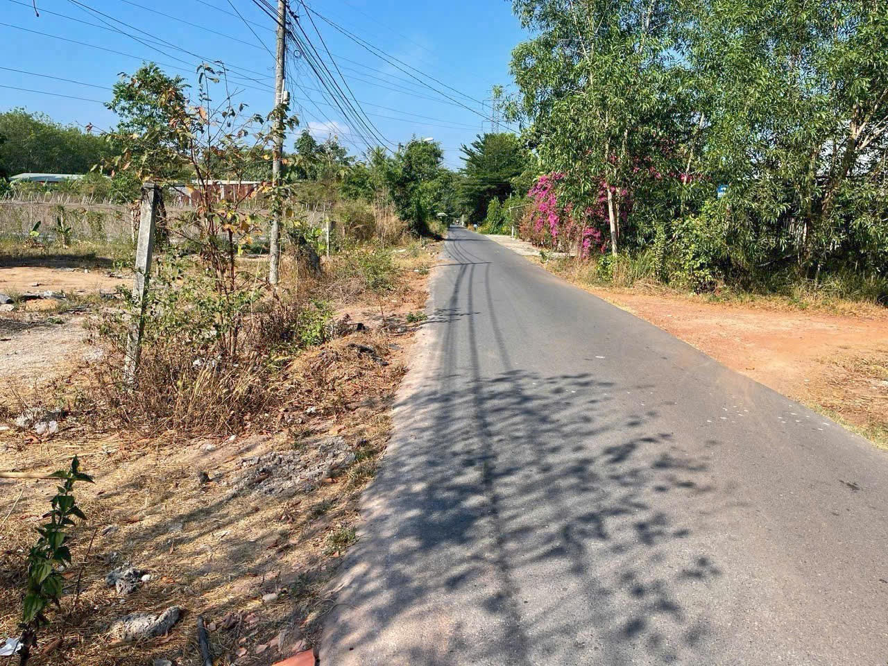 1900m2 đất mặt tiền đường Bàu Lách, xã Phạm Văn Cội giá 5,8 tỷ