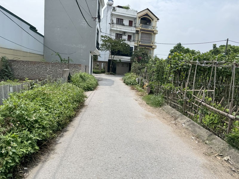 Cần bán đất Thạch Bàn 79,5m2, khu phân lô bàn cờ, tiện ích đầy đủ, tiềm năng sinh lời cao 2