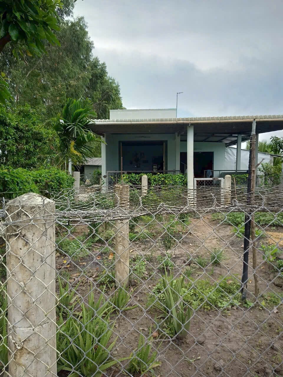 3500m2 đất vườn xã Hòa Khánh Tây, Đức Hòa giá 3,8 tỷ 2