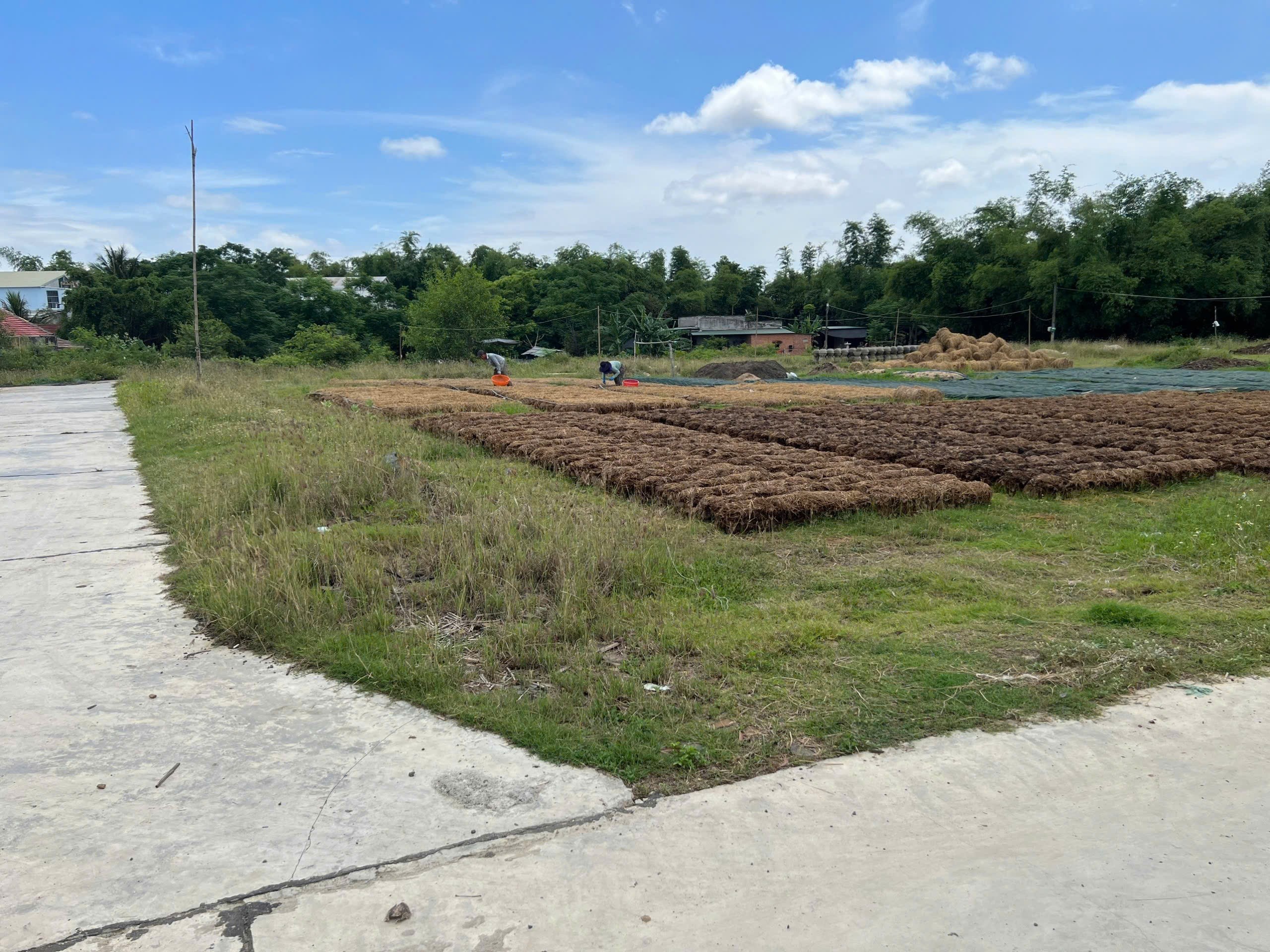 Bán đất khu đấu giá lô góc mặt tiền đường Nguyễn Cụ P. Ninh Đa Ninh Hoà  0985451850 2