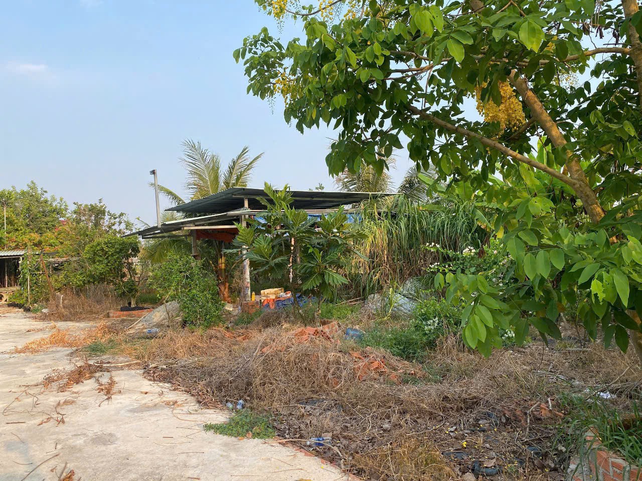 Nhà Vườn 1022m2 có 2,3 tỷ Kênh Đông Trung Lâp Thượng Củ Chi TP.HCM 3