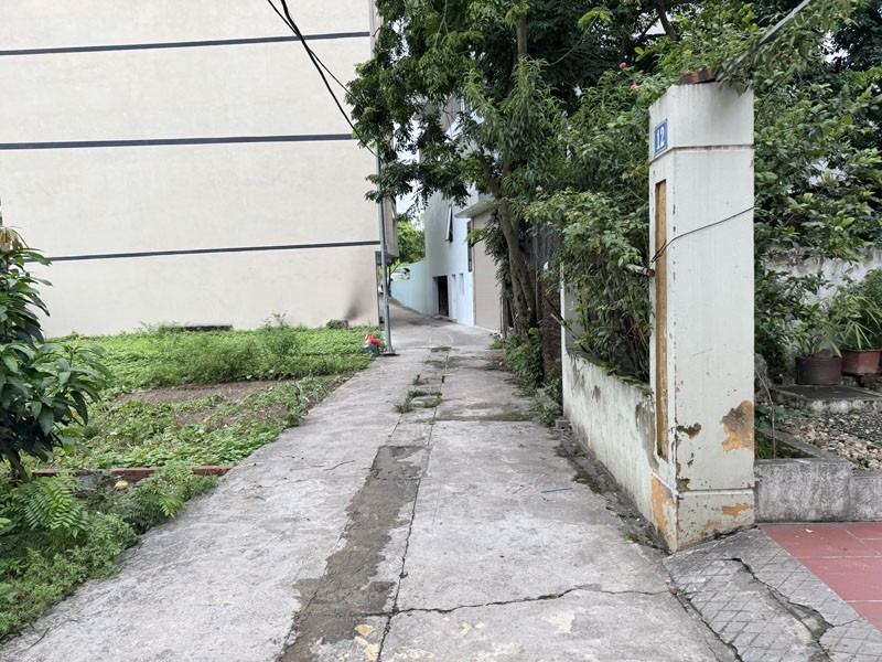 Bán Đất Thổ Cư Đặng Xá, Gia Lâm 50,2m2 - Sổ đỏ chính chủ, gần đường Ỷ Lan, ô Tô vào tận nơi