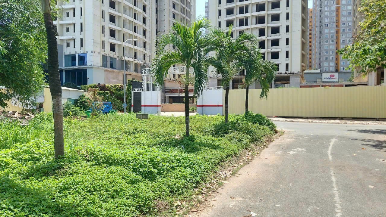 Cho thuê Đất Phường Thạnh Mỹ Lợi, Quận 2, Diện tích 462m², Giá 35 Triệu/tháng 2