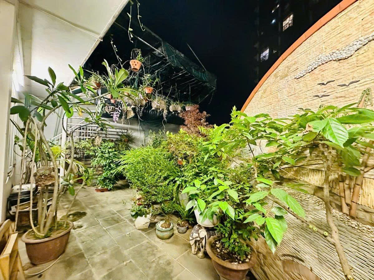Cần bán Nhà mặt tiền đường Lạc Long Quân, Phường Nhật Tân, Diện tích 110m², Giá 33 Tỷ