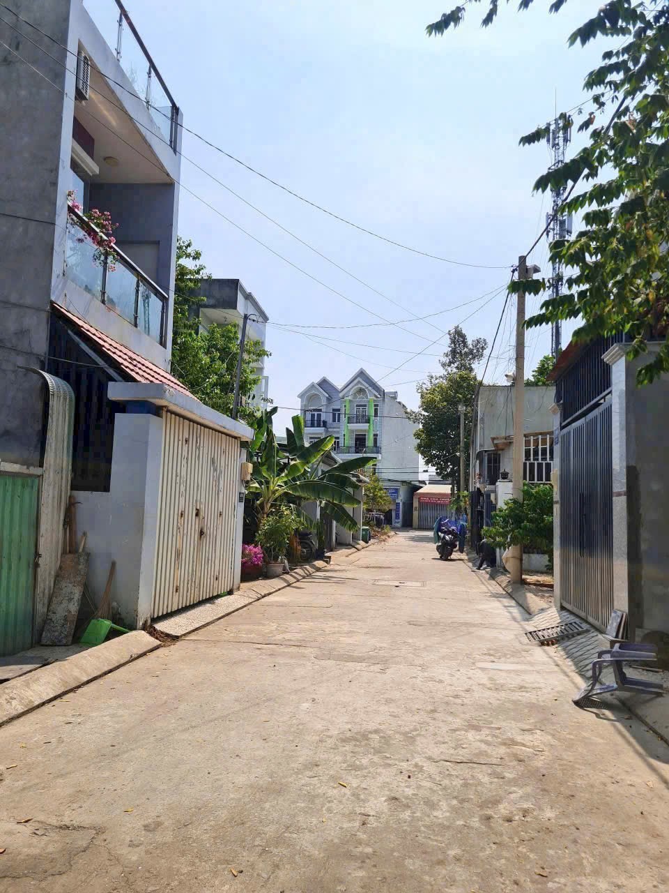Cần bán Đất đường Võ Văn Hát, Chọn, Diện tích 64m²,