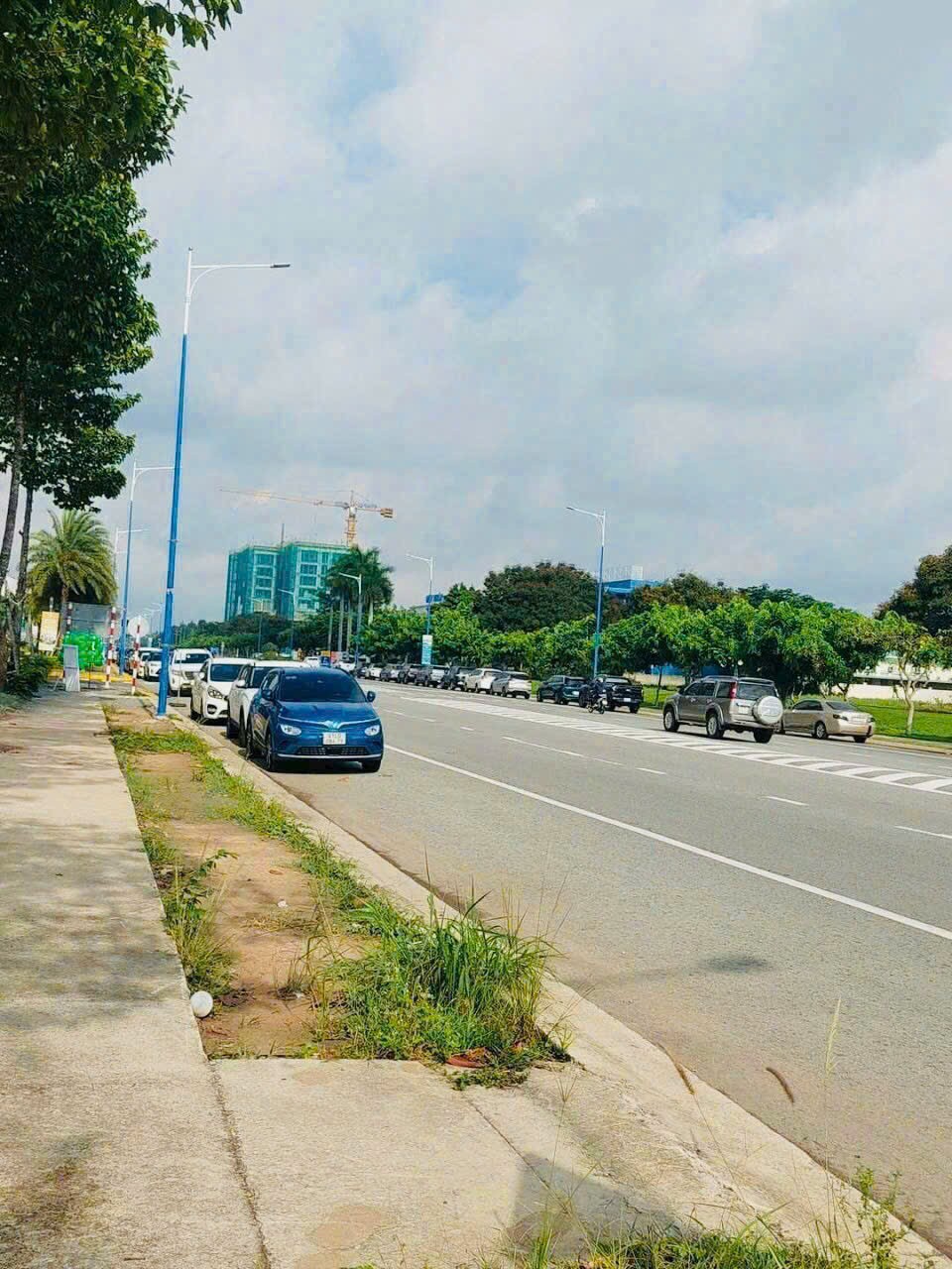 2ha đất KCN Vsip 2, phường Hòa Phú, tp Thủ Dầu Một giá 200 tỷ 3