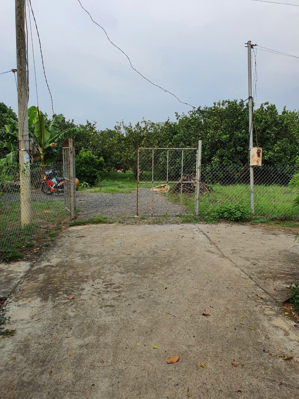 Cần bán Đất Xã Xuân Thiện, Thống Nhất, Diện tích 4435m², Giá 4.4 Tỷ 4