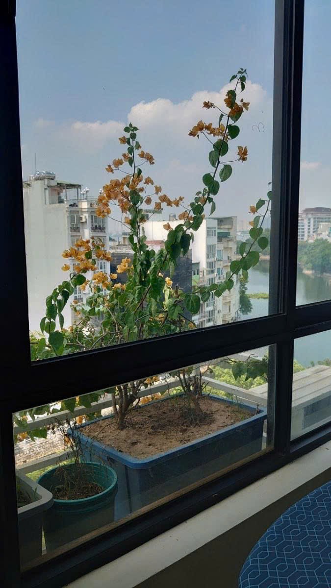 Cần bán Nhà mặt tiền đường Trúc Bạch, Phường Trúc Bạch, Diện tích 140m², Giá 65 Tỷ 4