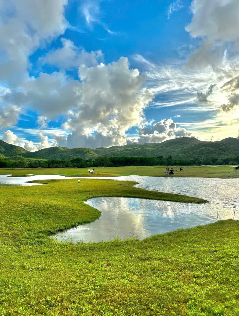 Cần bán Đất Thị trấn Phước Hải, Đất Đỏ - Bà Rịa Vũng Tàu 4