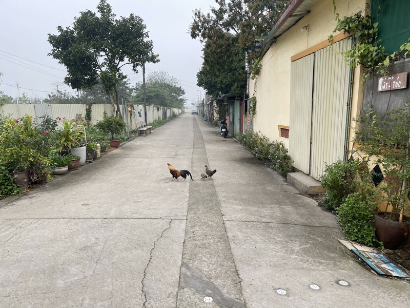 Cần bán 83,9m2 đất An Đào D. Trục đường quy hoạch mở rộng 30m (Hải Đăng 8 - Lý Thánh Tông) 5