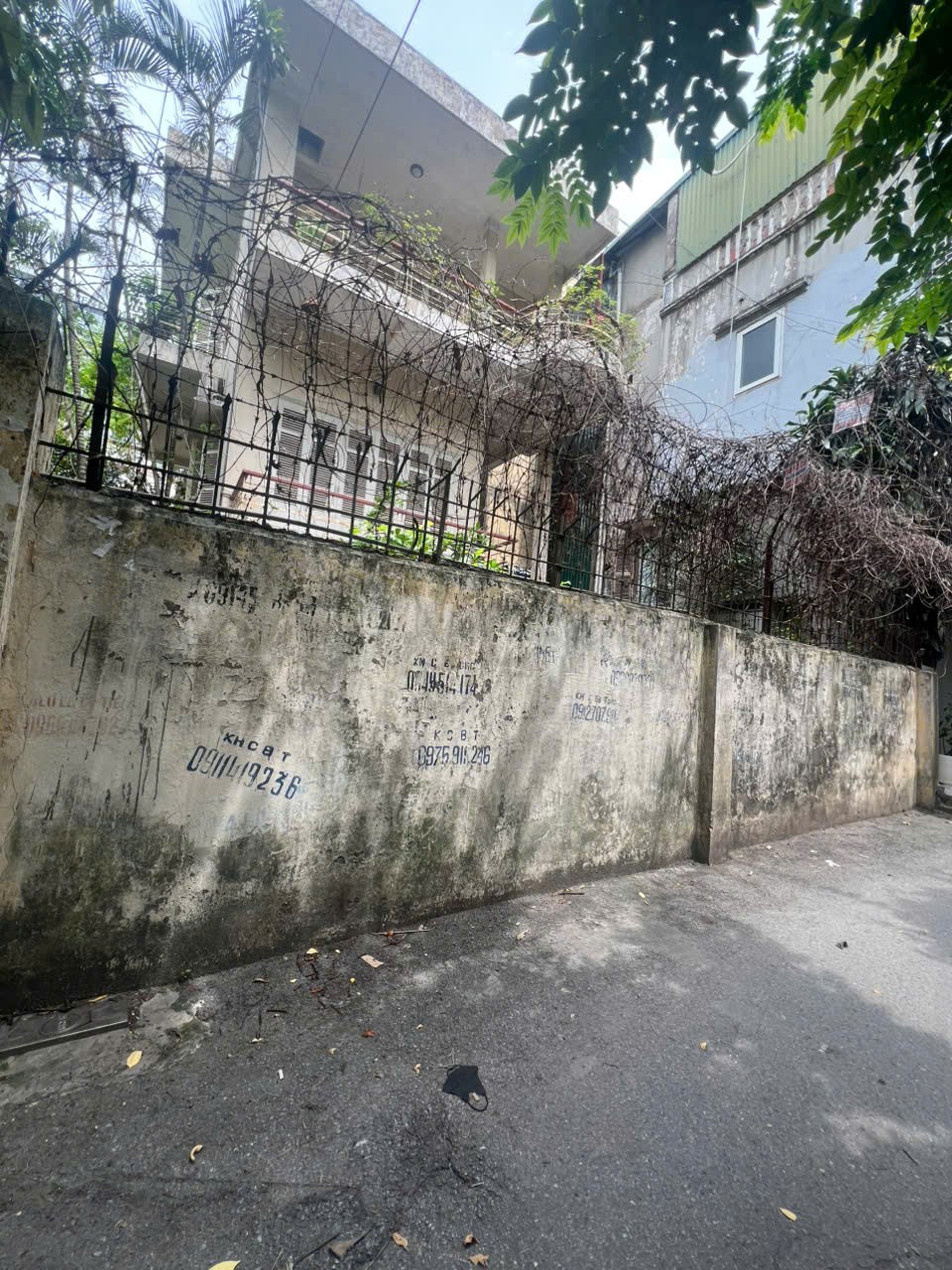 Cần bán Nhà mặt tiền đường Hoàng Ngọc Phách, Phường Láng Hạ, Diện tích 409m², Giá 60 Tỷ 8