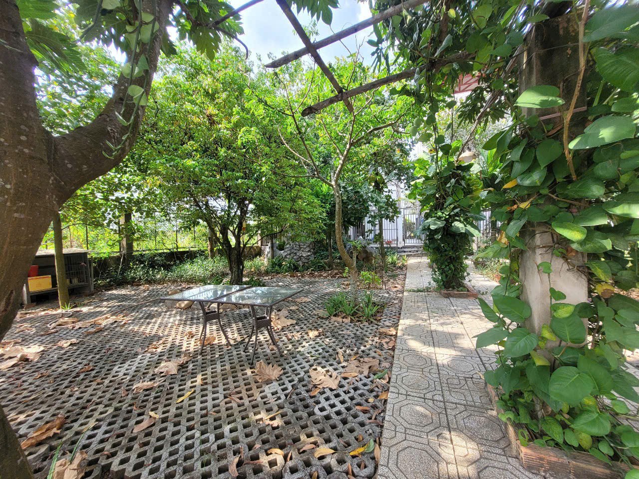 Cần bán Biệt thự Phường Trường Thạnh, Quận 9, Diện tích 462m², Giá 024 Tỷ 7