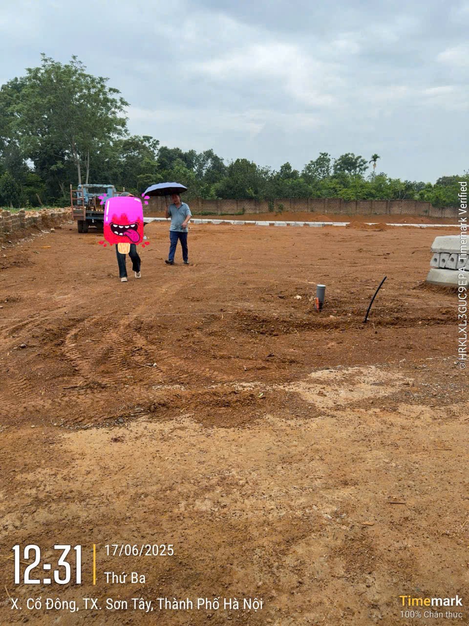 Bất Động Sản Trại Hồ – Cổ Đông – TX Sơn Tây: Vị Trí Vàng, Pháp Lý Rõ Ràng, Đầu Tư Sinh Lời 3