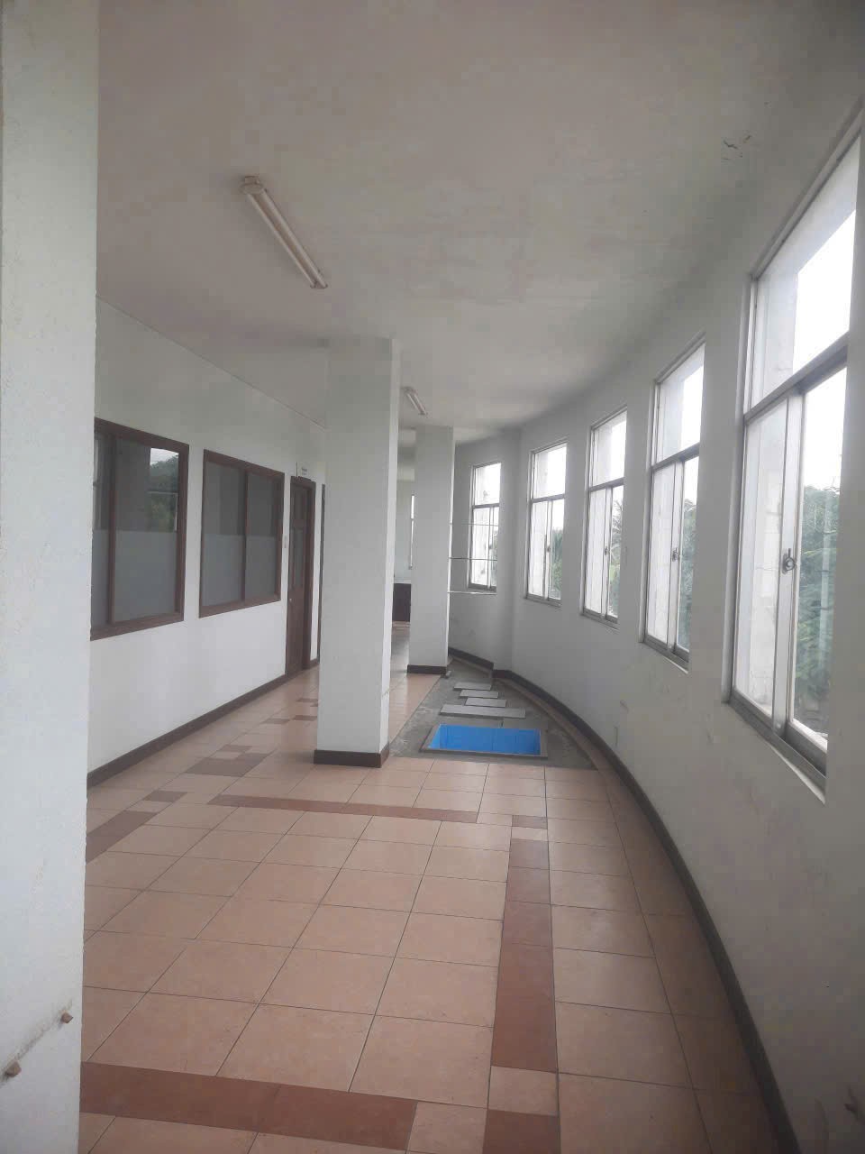 Nhà xưởng xã Bình Thạnh, Thủ Thừa tổng dt 12729m2 full skc giá 97 tỷ 5