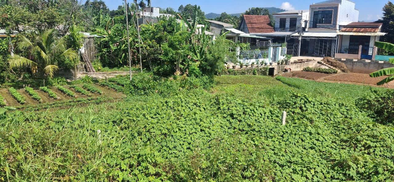 ĐẤT MẶT TIỀN TRƯỜNG CHINH – 100M² – CHỈ 2.4 TỶ – CƠ HỘI VÀNG CHO NHÀ ĐẦU TƯ! 3