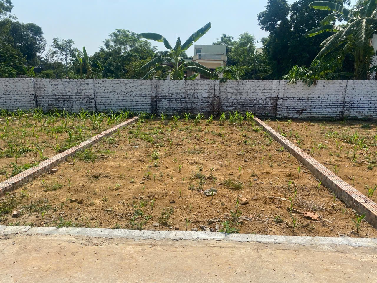 Cần bán Đất đường 420, Xã Bình Yên, Diện tích 60m², Giá 2.1 Tỷ 2