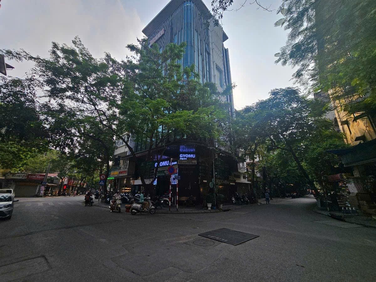 Cần bán Nhà mặt tiền đường Nguyên Hồng, Phường Láng Hạ, Diện tích 120m², Giá 105 Tỷ 2