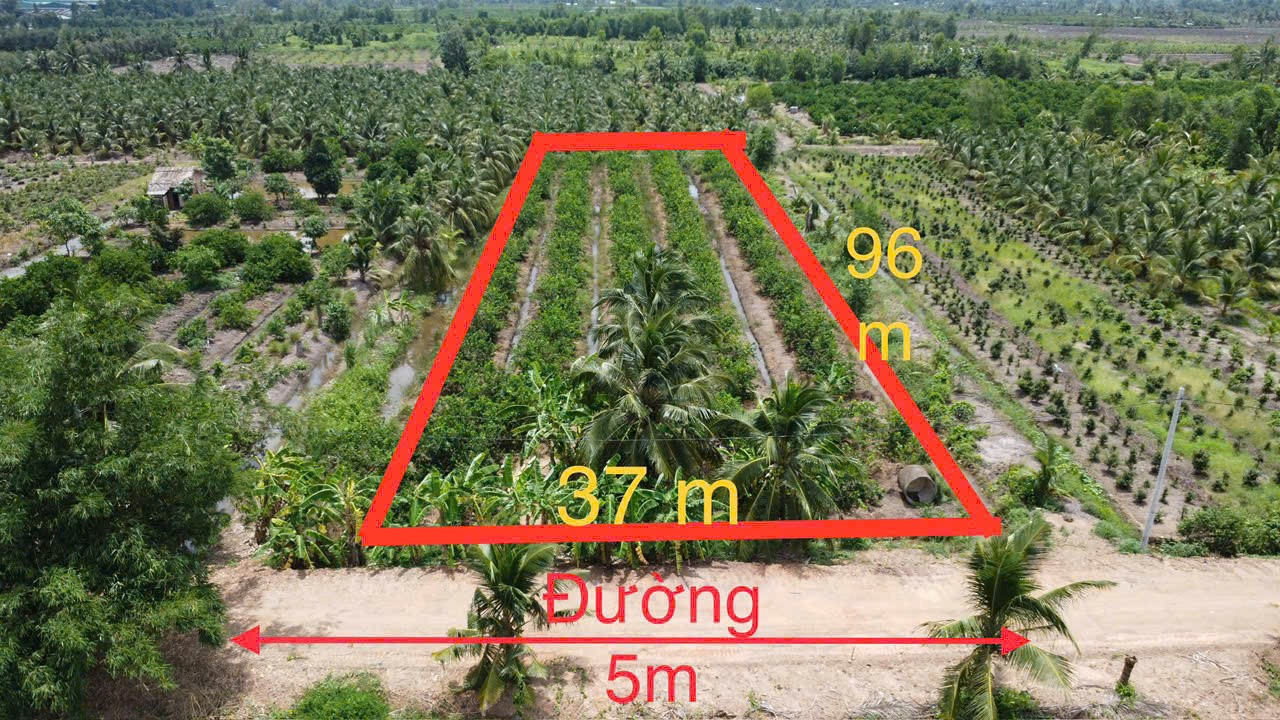 3698m2 đất vườn thổ ấp 9, Lương Hòa, Bến Lức ,Long An giá 6 tỷ 2