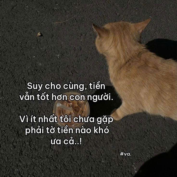 Cần bán Nhà mặt tiền Phường Hiệp Bình Phước, Thủ Đức, Diện tích 180m², Giá 36 Tỷ 6